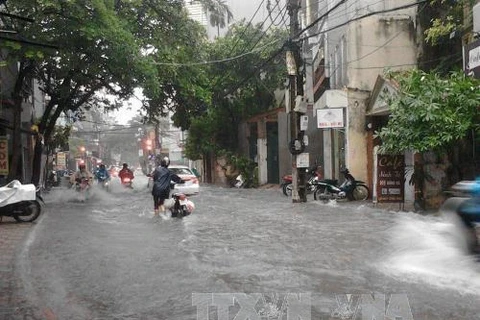 Le Japon aide Hanoi à améliorer la capacité de prévention des inondations