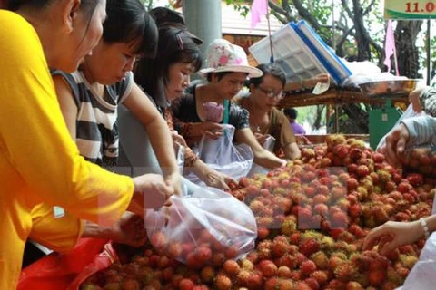 Forum Vietnam-Chine sur les fruits et légumes à Lang Son 