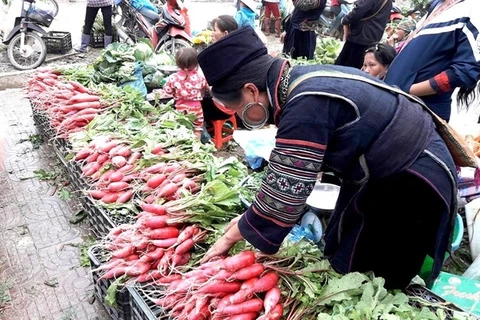 Originalité du marché des radis rouges à Sa Pa