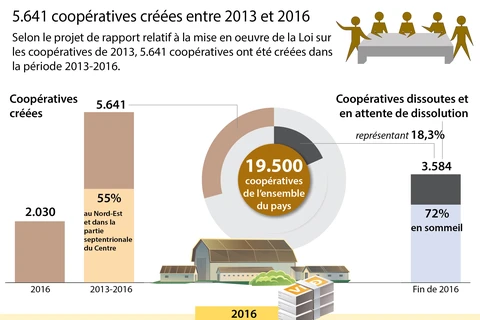 5.641 coopératives créées entre 2013 et 2016