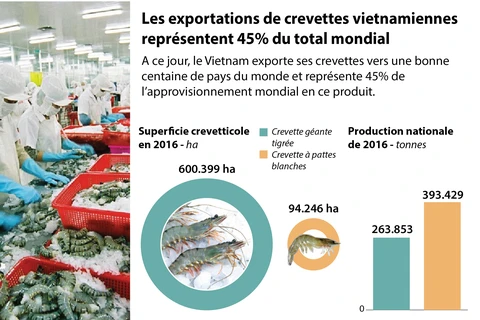 Les exportations de crevettes vietnamiennes représentent 45% du total mondial