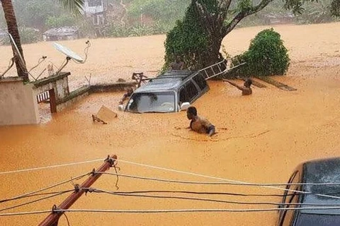 Inondations en Sierra Leone: message de condoléances du Vietnam