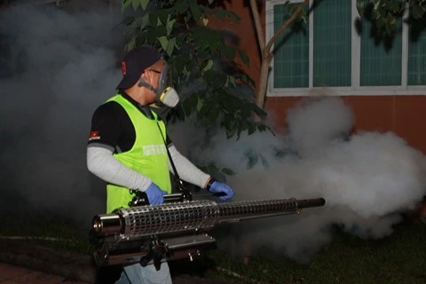 La dengue recule à Hô Chi Minh-Ville