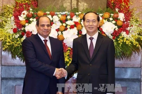 Entretien entre les présidents vietnamien et égyptien