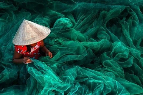 Une photo prise au Vietnam distinguée au Siena International Photo Awards