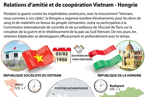Les relations d’amitié et de coopération Vietnam - Hongrie en infographie