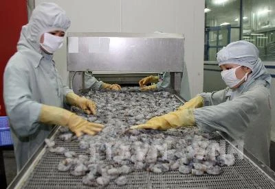 L’UE, premier marché pour les crevettes vietnamiennes