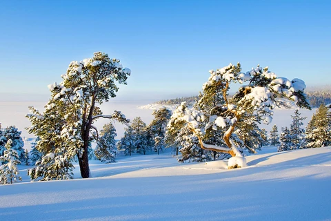 Exposition photographique "La nature du Nord de la Russie"