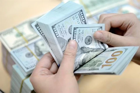 HCM-Ville : 72% des devises transférées par les Viêt kiêu vont dans les affaires et la production