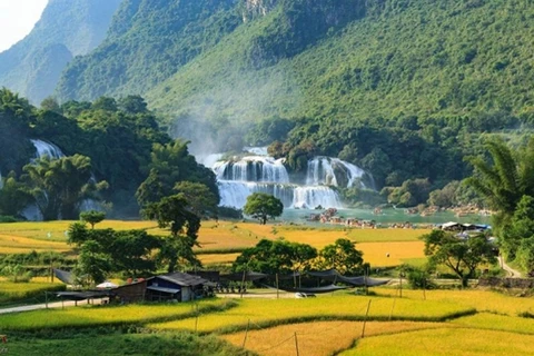 Cao Bang : la Fête du tourisme de la cascade de Ban Giôc