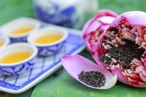 Projet de promotion du thé au lotus à Hanoi