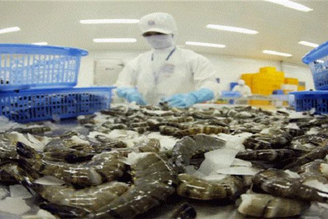 Le Vietnam figure parmi les plus grands exportateurs de crevettes
