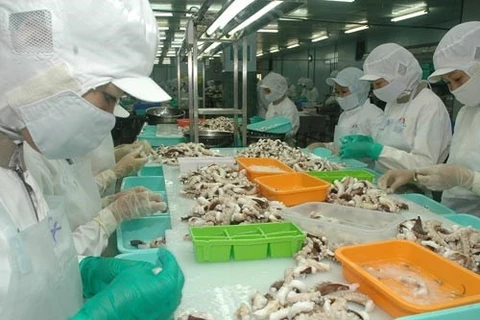 Céphalopodes: bond des exportations vietnamiennes au Japon