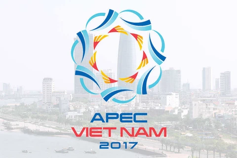 APEC 2017 : la Russie soutient les priorités du Vietnam
