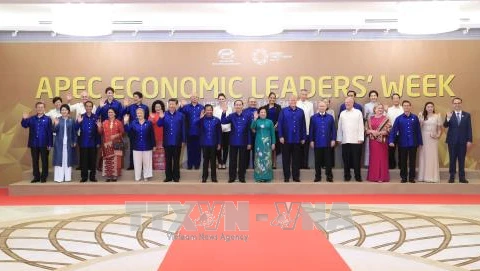 La 25e conférence des dirigeants économiques de l'APEC à Da Nang
