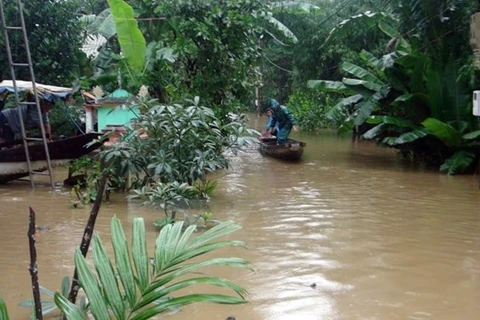 Aides étrangères pour le Vietnam à remédier aux conséquences du typhon Damrey