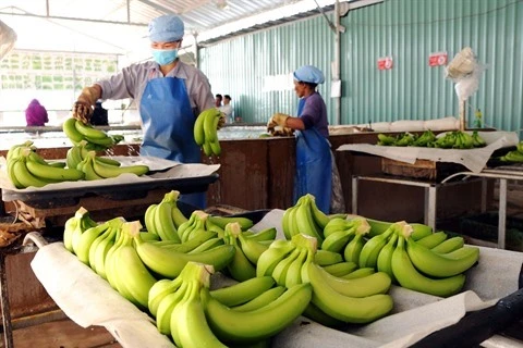 2,84 milliards de dollars d'exportations pour les fruits et légumes en dix mois
