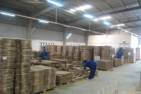 Les exportations nationales de bois atteindront certainement 10 milliards de dollars en 2020