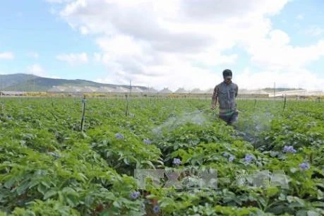 Une entreprise sud-coréenne cherche des opportunités de production à Ha Nam