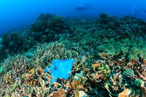 L'ASEAN discute de la gestion des plastiques océaniques