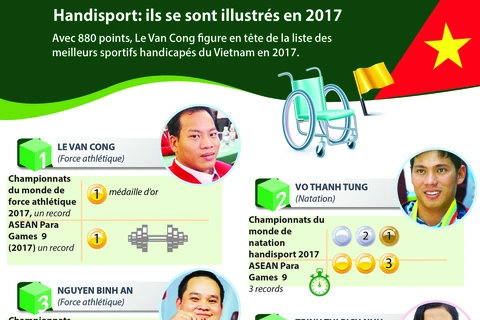 Handisport: ils se sont illustrés en 2017