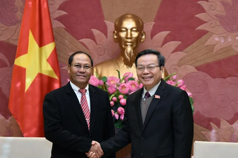 Promouvoir la coopération entre les organes législatifs Vietnam-Laos 