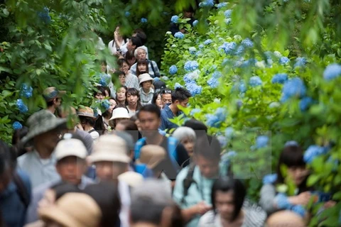 Hausse spectaculaire du nombre de touristes vietnamiens au Japon en dix ans