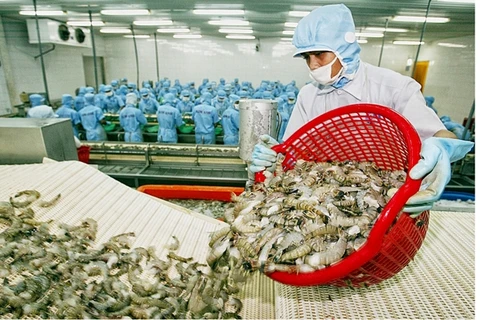 L’UE devient le premier importateur de crevettes vietnamiennes