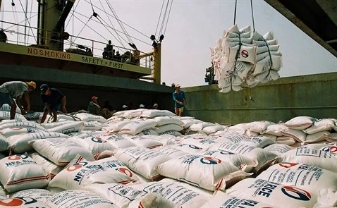 Les exportations nationales de riz atteindront 6 millions de tonnes en 2018