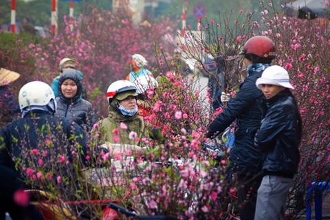 Le marché aux fleurs de Quang Ba est l’une des 14 destinations idéales pour le Tet