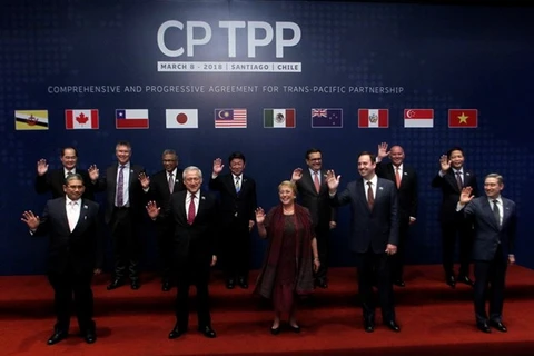 Le CPTPP stimulera la coopération économique et commerciale Vietnam-Chili