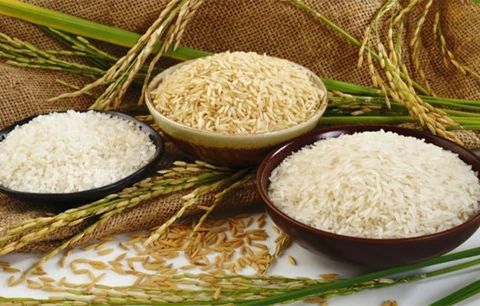 Janvier/février: la Chine, premier marché à l’export du riz vietnamien