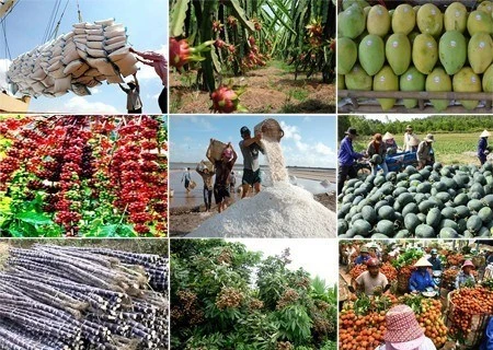 Les exportations de produits agricole, sylvicole et aquatique se chiffrent à 8,7 milliards d’USD