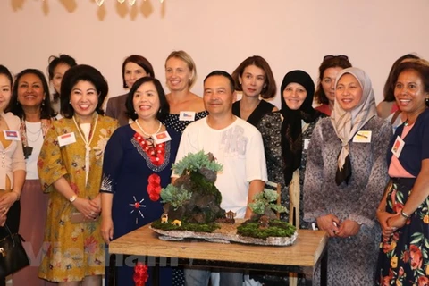 Promotion de la culture vietnamienne en Australie