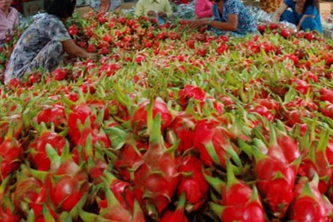 La part de marché des fruits et légumes vietnamiens en Europe ne s'élève qu'à 0,9%