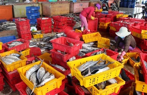 Le Vietnam oeuvre pour une pêche durable et responsable