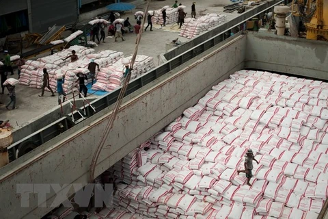 La Thaïlande, premier exportateur mondial de riz au premier trimestre
