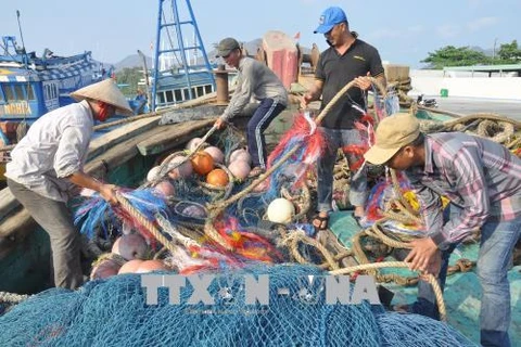 La CE fait le bilan des avancées vietnamiennes suite au "carton jaune" concernant la pêche illégale