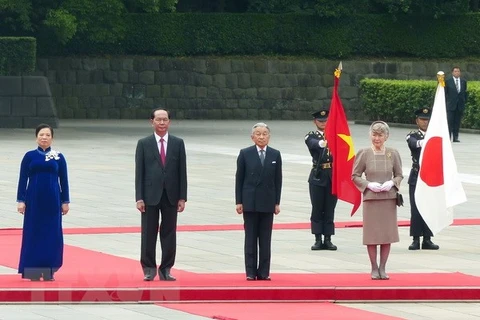 Entrevue entre le président Trân Dai Quang et l’empereur Akihito