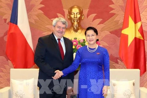La présidente de l’AN reçoit le vice-président de la Chambre des députés de la R. tchèque