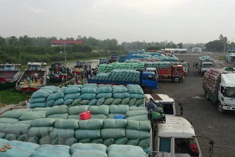 Les exportations de produits agricoles via la porte frontalière internationale de Lao Cai en hausse