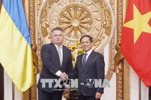 Vietnam-Ukraine : consultation politique au niveau vice-ministériel 