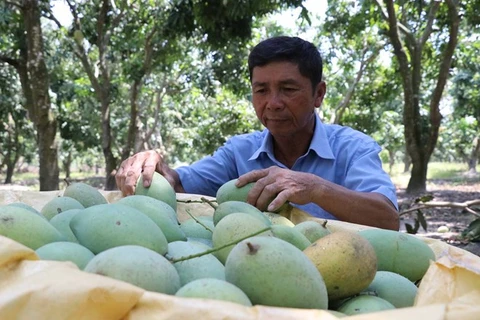 Le Vietnam exhorte les entreprises suisses à investir dans l’agriculture