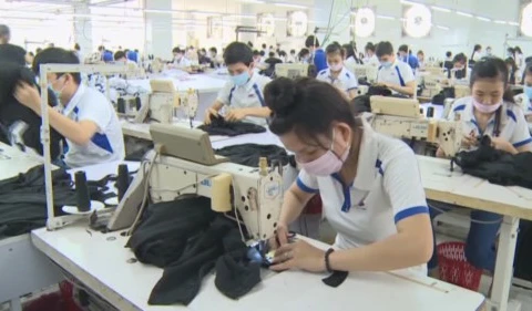 Exportations: Tien Giang réalise un chiffre d’affaires de 1,27 milliard de dollars