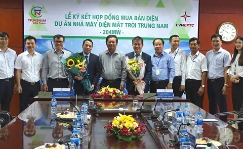 Une centrale solaire de 5.000 milliards de dongs sera construite à Ninh Thuan