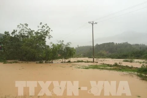 La tempête Son Tinh cause de lourds dégâts dans les provinces du Nord et de la partie Nord du Centre