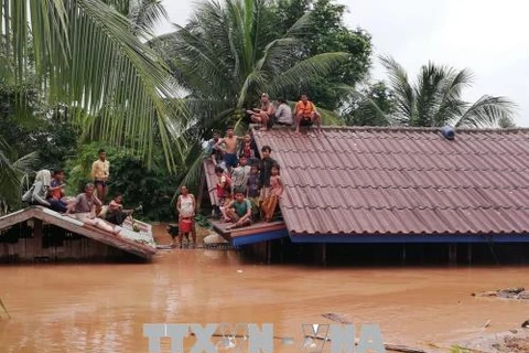 Hoang Anh Gia Lai loue un hélicoptère pour évacuer ses travailleurs bloqués au Laos