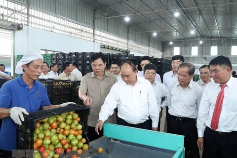 Le PM visite un modèle de production agricole de haute technologie à Lâm Dông 