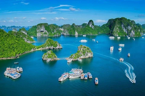 Tourisme maritime du Vietnam: croissance impressionnante