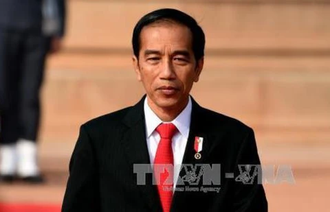 Vietnam-Indonésie : promotion des potentiels de développement économique